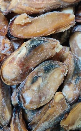 Фото Мидия Грея мясо варено-мороженая 