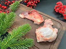 Коленная чашечка медведя 