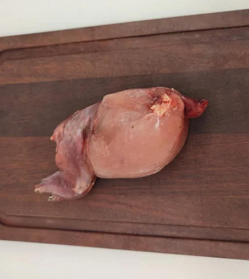 Фото Рябчик без пера