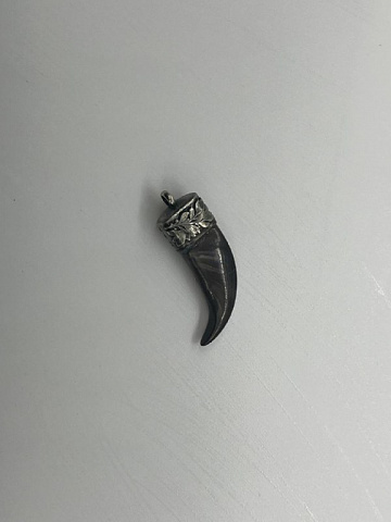 Фото Коготь медведя (мельхиор)