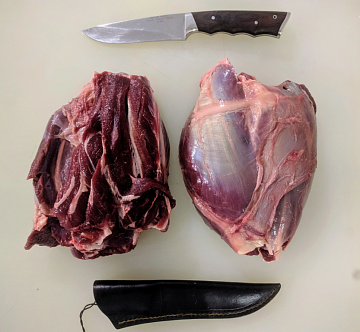 Фото Голяшка европейского благородного оленя бескостная (для запекания)