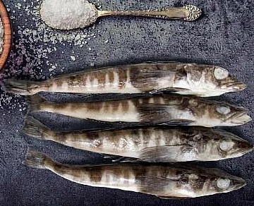 Фото Ледяная рыба 0,6-1кг